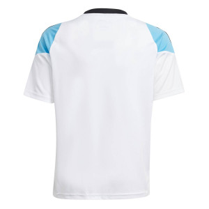 /I/Z/IZ2998_camiseta-albiceleste-adidas-messi-nino-training_2_completa-trasera.jpg