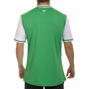 /S/I/SI10601A0101_camiseta-verde--blanca-joma-hibernian-2023-2024_2_completa-trasera.jpg
