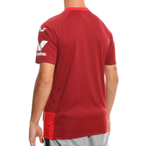 /T/M/TM1131_camiseta-roja-castore-2a-sevilla-2022-2023_2_completa-trasera.jpg
