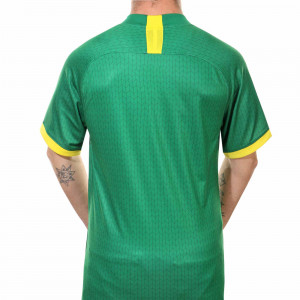 /c/n/cn3827-302_imagen-de-la-camiseta-de-futbol-primera-equipacion-nike-stadium-beijing-guoan-2020--verde_2_trasera.jpg