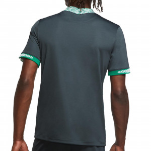 /c/t/ct4224-364_imagen-de-la-camiseta-de-futbol-nike-stadium-seleccion-nigeria-2020-2021-segunda-equipacion-verde_2_trasera.jpg