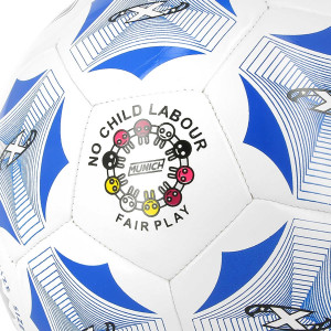/5/0/5001086-62_balon-futsal-munich-precision-indoor-talla-62-cm-color-blanco_3_detalle.jpg