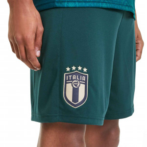 /7/5/756441-03_imagen-de-los-pantalones-cortos-futbol-puma-tercera-equipacion-italia-2019-verde_3_detalle.jpg