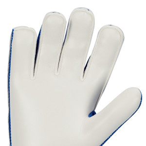 /C/Q/CQ7799-445_guantes-de-arquero-nike-gk-match-color-azul_3_detalle-corte.jpg