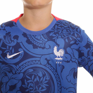 /C/V/CV5791-439_camiseta-nike-francia-nino-2022-2023-dri-fit-stadium-color-azul_3_detalle-cuello-y-pecho-con-escudo.jpg