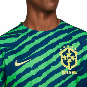 /D/M/DM9544-490_camiseta-nike-brasil-dri-fit-pre-match-color-azul-y-verde_3_detalle-cuello-y-pecho.jpg