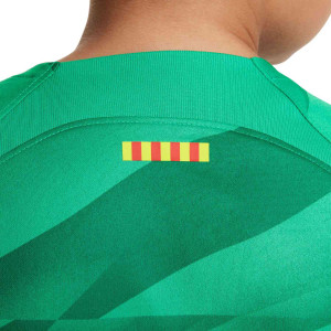 /D/X/DX2750-325-1_camiseta-manga-larga-nike-barcelona-nino-portero-ter-stegen-2023-2024-color-verde_3_detalle-cuello-y-espalda.jpg