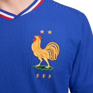 /F/J/FJ1254-452_camiseta-nike-francia-match--2024-2025-dri-fit-adv-color-azul_3_cuello-y-escudo.jpg