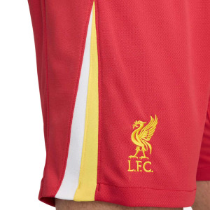 /F/N/FN8863-687_pantalon-corto-nike-liverpool-2024-2025-stadium-dri-fit-color-rojo_3_detalle-escudo.jpg