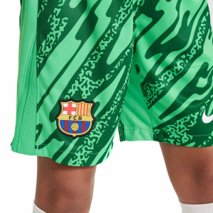 /F/N/FN9186-329_pantalon-corto-nike-barcelona-nino-portero-2024-2025-dri-fit-stadium-color-verde_3_detalle-escudo.jpg