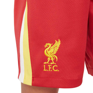 /F/N/FN9190-687_pantalon-corto-nike-liverpool-nino-2024-2025-stadium-dri-fit-color-rojo_3_detalle-escudo.jpg