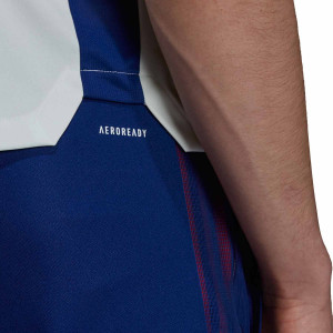/G/U/GU9584_pantalon-chandal-adidas-olympique-lyon-entrenamiento-color-azul_3_detalle-cintura.jpg