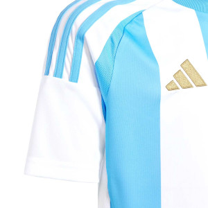/I/P/IP8387-10_camiseta-adidas-argentina-nino-2024-messi-10-color-blanco-y-azul_3_detalle-pecho-y-logotipo.jpg