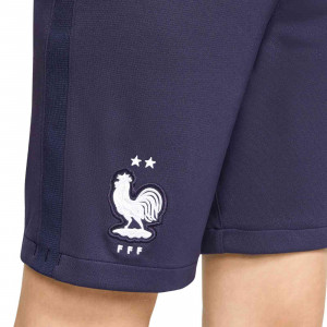 /c/d/cd1168-498_imagen-de-los-pantalones-de-entrenamiento-de-futbol-nike-stadium-fff-francia-2020-2021-azul_3_detalle.jpg