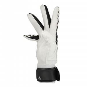 /f/s/fs0399_imagen-de-los-guantes-de-portero-sin-protecciones-adidas-predator-training-2020-2021-negro-blanco_3_lateral.jpg