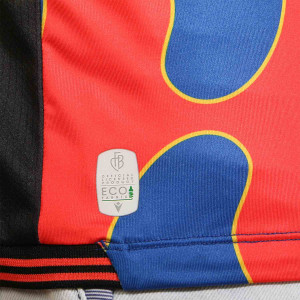 /6/0/60002712_camiseta-macron-fc-basel-2024-2025-azul--roja_4_detalle-tecnologia.jpg