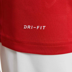 /D/J/DJ9811-657_imagen-de-la-camiseta-de-futbol-manga-corta-de-algodon-nike-DRY-TEE-SOCCER-AOP-2021-rojo_4_detalle-tecnologia.jpg