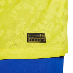 /D/N/DN0618-740-7_camiseta-nike-brasil-vini-jr-2022-2023-dri-fit-adv-match-amarilla_4_detalle-autenticidad.jpg