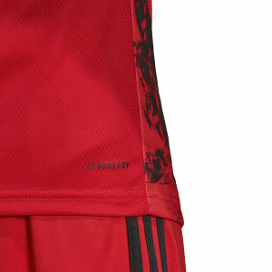 /E/H/EH6098_imagen-de-la-camiseta-de-manga-larga-de-portero-de-futbol-de-la-dfb-alemania-adidas-2019-2020-rojo_4_ghost-trasera.jpg