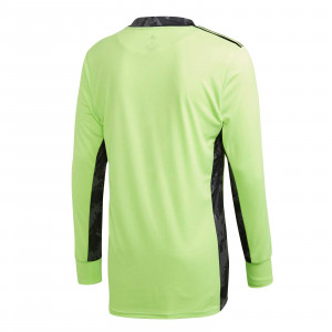 /F/I/FI4192_imagen-de-la-camiseta-de-portero-de-futbol-adidas-adripro-20-2019-verde_4_trasera.jpg