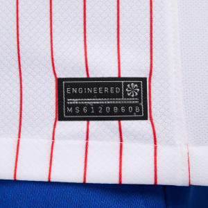 /F/J/FJ4273-100-10_camiseta-nike-2a-francia-2024-2025-stadium-dri-fit-mbappe-10-blanco_4_detalle-autenticidad.jpg