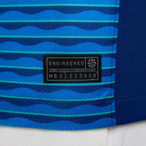/F/J/FJ4283-458-09E.A_camiseta-nike-2a-brasil-endrick-stadium-24-25-dri-fit-azul_4_detalle-autenticidad.jpg