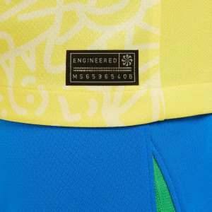 /F/J/FJ4409-706-09E.A_camiseta-nike-brasil-nino-endrick-stadium-24-25-dri-fit-amarilla_4_detalle-autenticidad.jpg