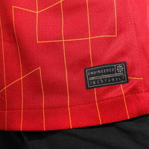 /F/N/FN9154-688-04VRGL.I_camiseta-nike-liverpool-nino-virgil-2024-2025-dri-fit-stadium-pl-roja_4_detalle-autenticidad.jpg