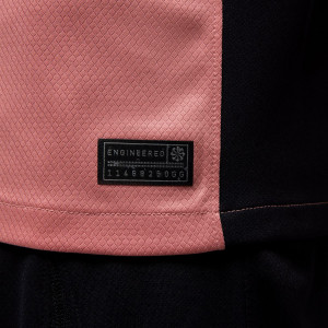 /F/Q/FQ2024-686_camiseta-nike-3a-psg-2024-2025-dri-fit-stadium-rosa_4_detalle-autenticidad.jpg