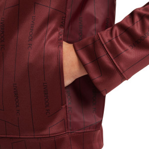 /F/Z/FZ4163-619_chandal-nike-liverpool-nino-woven-granate_4_detalle-manga-bolsillo.jpg