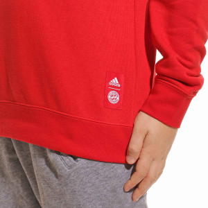 /G/R/GR0679_sudadera-adidas-bayern-roja_4_detalle-autenticidad.jpg