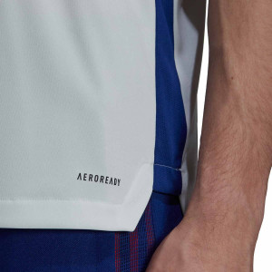 /G/U/GU9582_camiseta-adidas-olympique-lyon-entrenamiento-blanca_4_detalle-tecnologia.jpg