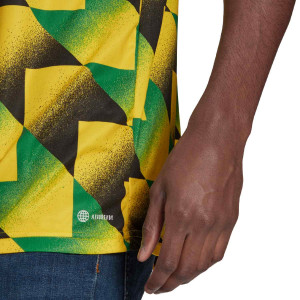 /H/A/HA5280_camiseta-adidas-arsenal-pre-match-amarilla--verde_4_detalle-logotipo.jpg