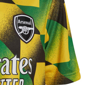 /H/A/HA5305_camiseta-adidas-arsenal-nino-pre-match-amarilla--verde_4_detalle-logotipo.jpg