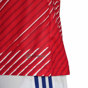 /H/D/HD8922_camiseta-adidas-japon-pre-match-roja_4_detalle-logotipo.jpg