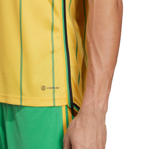 /H/T/HT7122_camiseta-adidas-jamaica-2023-amarilla_4_detalle-tecnologia.jpg