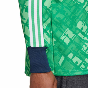 /H/T/HT7193_camiseta-manga-larga-adidas-arsenal-portero-icon-verde_4_detalle-acabado-manga.jpg