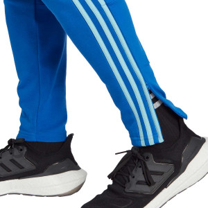 /H/T/HT9923_pantalon-largo-adidas-boca-juniors-dna-azul_4_detalle-bajos.jpg