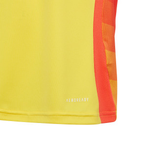 /I/P/IP8285_camiseta-adidas-colombia-nino-2024-amarilla_4_detalle-tecnologia.jpg