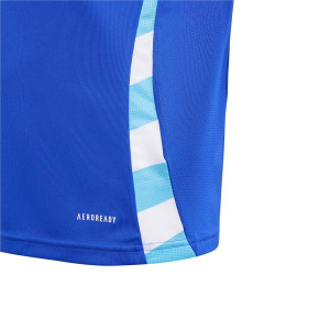 /I/P/IP8385_camiseta-adidas-2a-argentina-nino-2024-azul_4_detalle-tecnologia.jpg