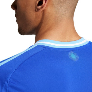/I/P/IP8413_camiseta-adidas-2a-argentina-2024-azul_4_detalle-cuello-y-espalda.jpg