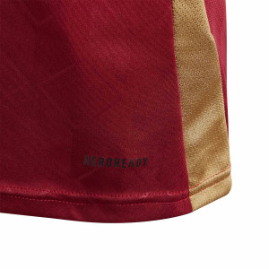 /I/Q/IQ0777-7_camiseta-adidas-belgica-nino-2024-de-bruyne-7-granate_4_detalle-tecnologia.jpg