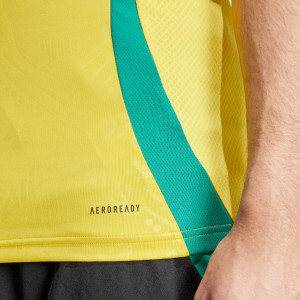 /I/T/IT8541_camiseta-adidas-jamaica-1a-2024-amarilla_4_detalle-tecnologia.jpg