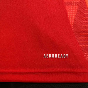 /I/V/IV4684_camiseta-adidas-olympique-lyon-entrenamiento-staff-roja_4_detalle-tecnologia.jpg
