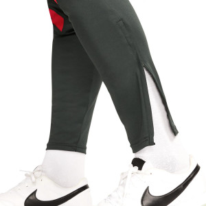 Chándal Nike PSG Dri-Fit Strike Hoodie UCL gris oscuro