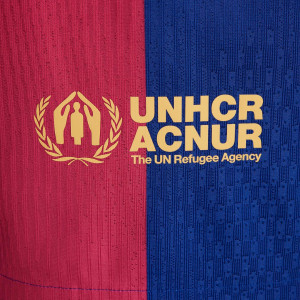 /F/N/FN9064-456_camiseta-azulgrana-nike-barcelona-nino-match-2024-2025-dfadv_6_detalle.jpg