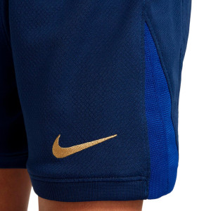 /F/N/FN9233-456-UCL_conjunto-azulgrana-nike-barcelona-nino-2024-2025-df-stadium-ucl_6_detalle-logotipo.jpg