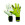Rinat Aries Némesis Prime Jr - Guantes de portero infantiles Rinat corte Negative - verdes
