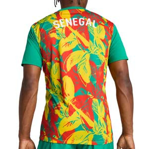 Camiseta Puma Senegal Pre-Match - Camiseta de calentamiento prepartido Puma de la selección de Senegal - verde