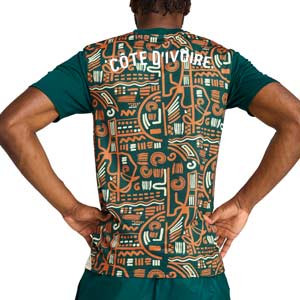 Camiseta Puma Costa Marfil Pre-Match - Camiseta de calentamiento prepartido Puma de la selección de Costa de Marfil - verde, naranja
